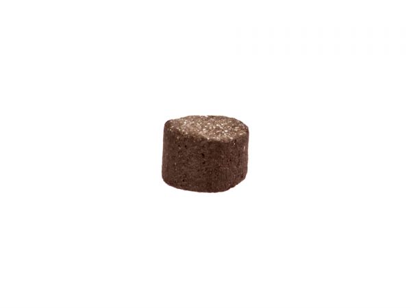 Söchting - Mini Oxydator - Katalysator
