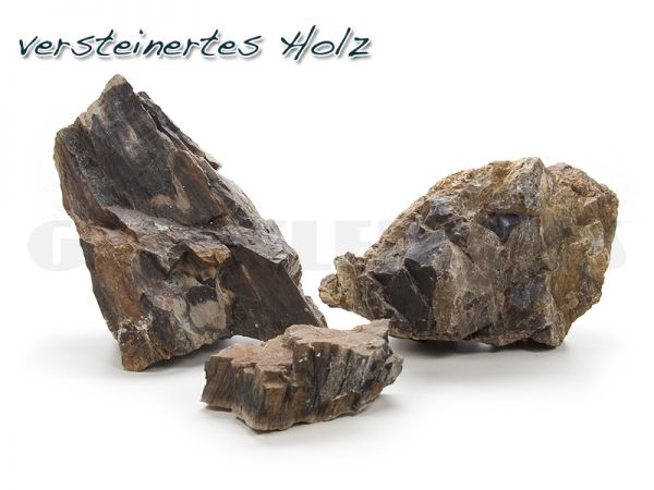 Petrified Wood, 1 kg