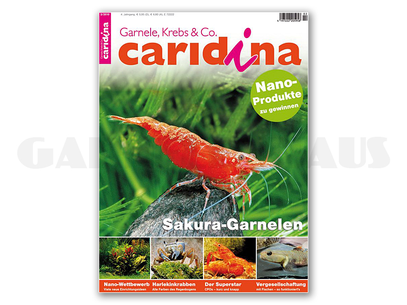 Dahne Verlag Caridina Issue 2 2010 In German Garnelenhaus