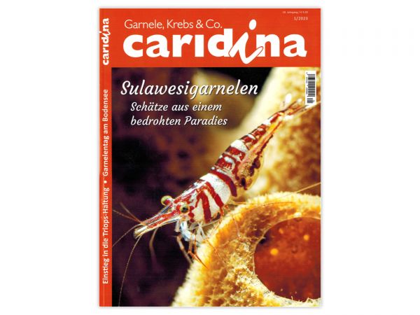 caridina - Garnelen, Krebse & Co :: Invertebrates Magazine, Dähne Publisher, Issue 1/2023