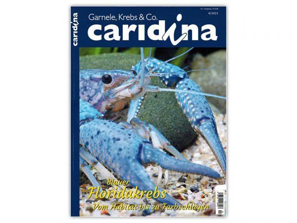 caridina - Garnelen, Krebse & Co :: Invertebrates Magazine, Dähne Publisher, Issue 4/2021