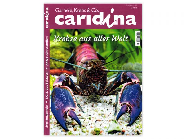 caridina - Garnelen, Krebse & Co :: Invertebrates Magazine, Dähne Publisher, Issue 3/2022