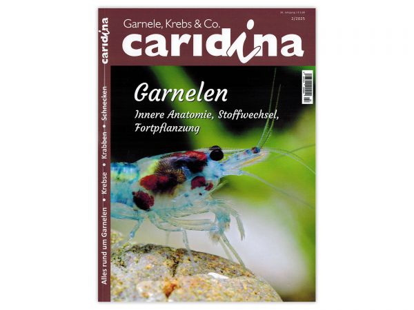 caridina - Garnelen, Krebse & Co :: Wirbellosen-Magazin, Dähne-Verlag, Issue 2/2025