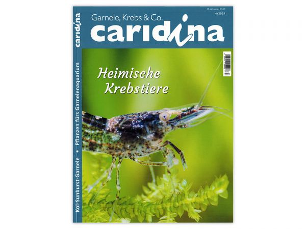 caridina - Garnelen, Krebse & Co :: Invertebrates Magazine, Dähne Publisher, Issue 4/2024