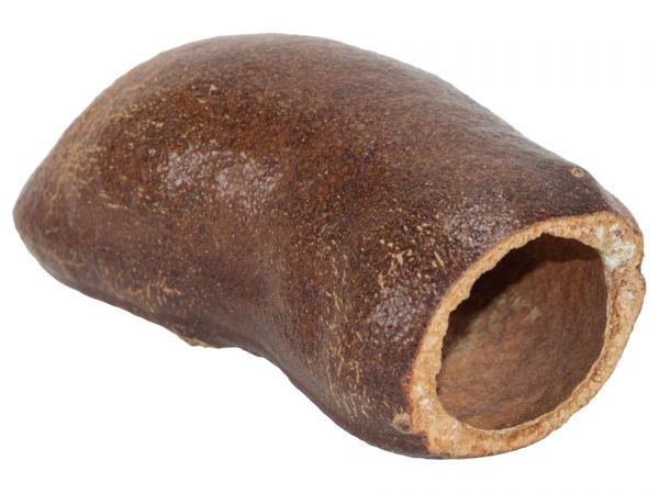 Courbaril pod