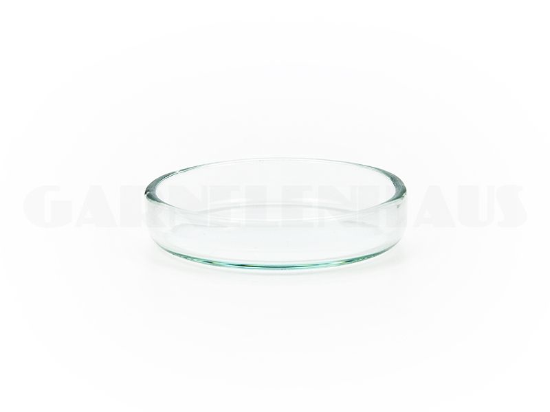 Glass Food Bowl 45 11 Mm Garnelenhaus