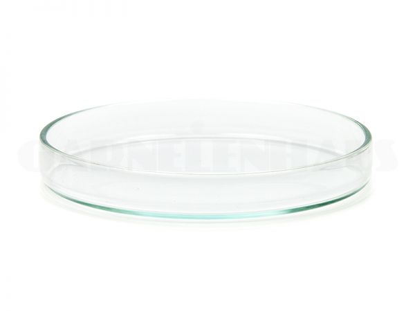 Glass food bowl, 80/11 mm