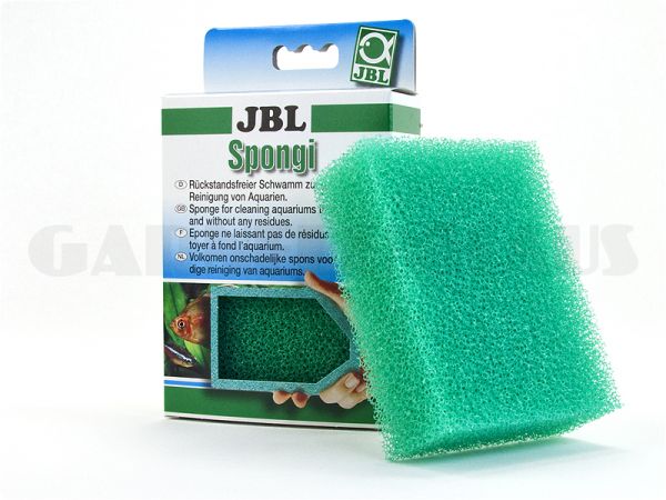 Spongi Cleaning sponge