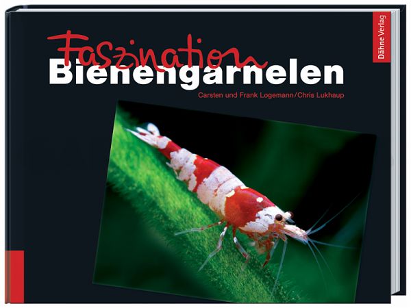 Fascinating Bee Shrimp (in German)