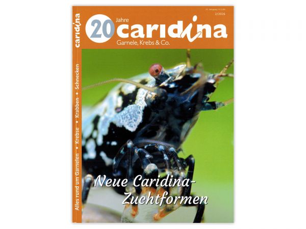 caridina - Garnelen, Krebse & Co :: Wirbellosen-Magazin, Dähne-Verlag, Issue 2/2026