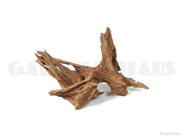 Mangrove wood - medium