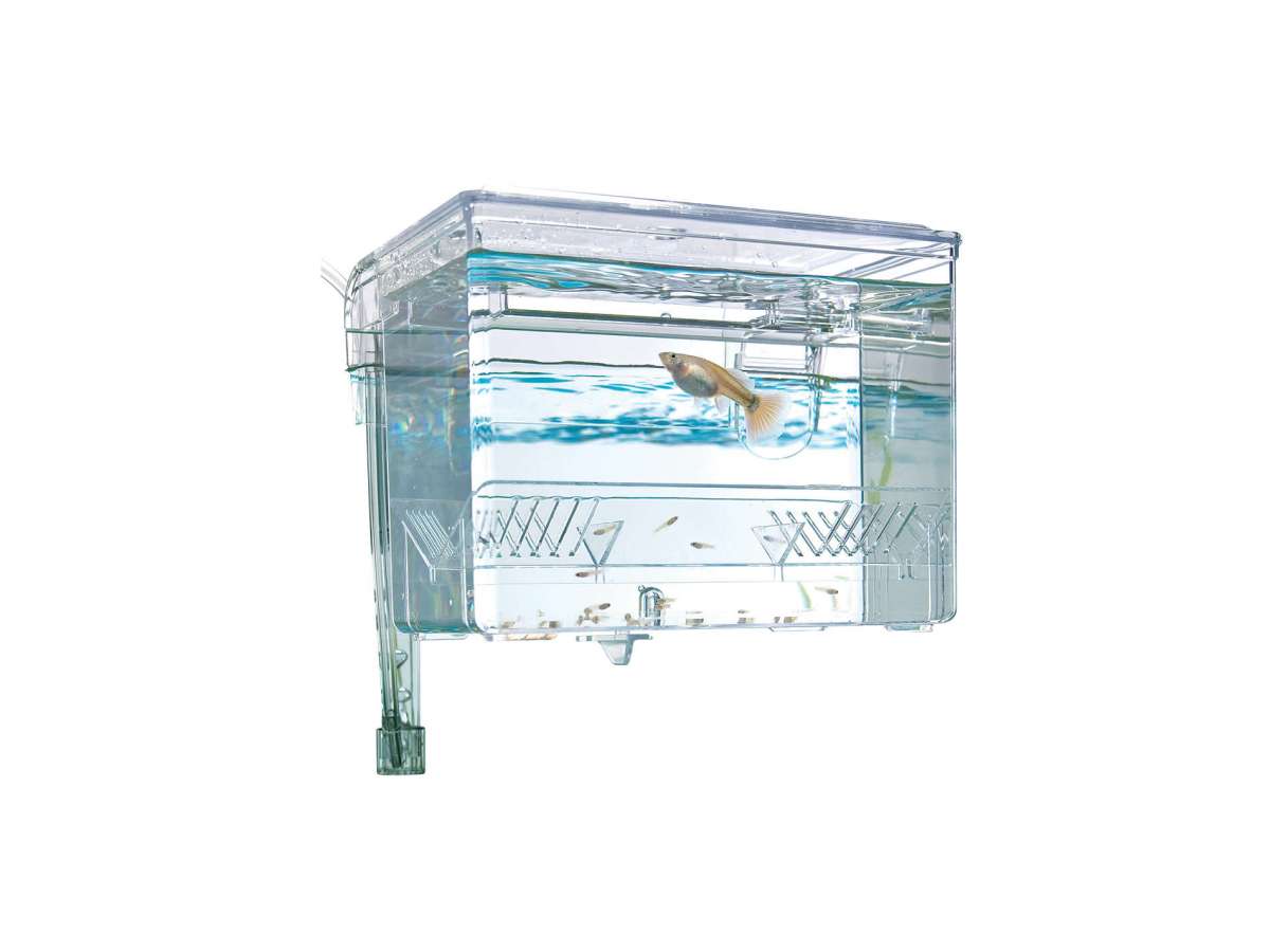 external hang on plastic aquarium fish breeding box satellite l Hang-On Tank Warm oxygenated water from the main aquarium is circulated through the breeding box with an air pump (sold separately) Abunda : Bluecoco