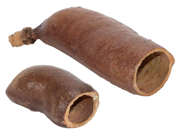 Courbaril pod