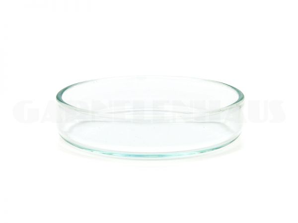 Glass food bowl, 53/15 mm