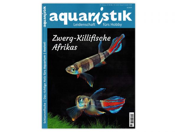 aquaristik - Leidenschaft fürs Hobby, Issue 6/2025