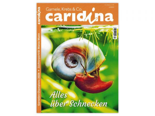 caridina - Garnelen, Krebse & Co :: Wirbellosen-Magazin, Dähne-Verlag, Issue 1/2025