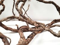 Preview: WIO - Decor-Roots - Elder Root Mix Closeup Preview: WIO - Decor-Roots - Elder Root Mix Closeup