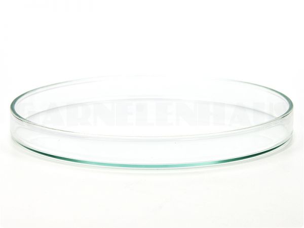 Glass food bowl, 120/13 mm