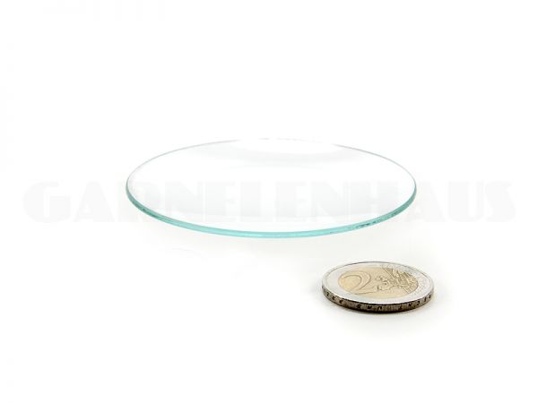 Shallow glass food bowl, 62/8 mm