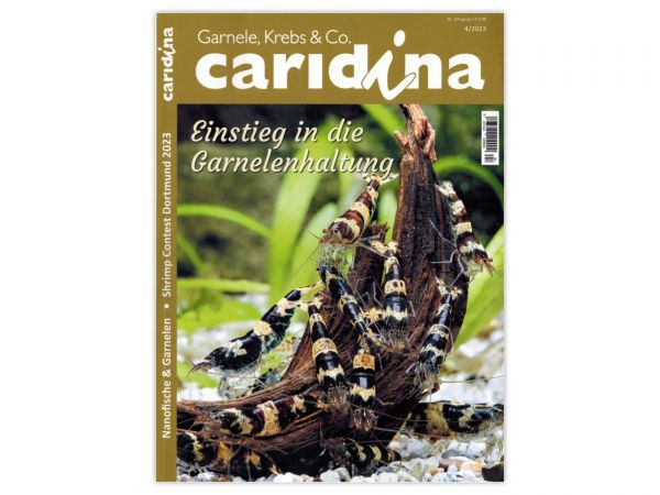 caridina - Garnelen, Krebse & Co :: Invertebrates Magazine, Dähne Publisher, Issue 4/2023