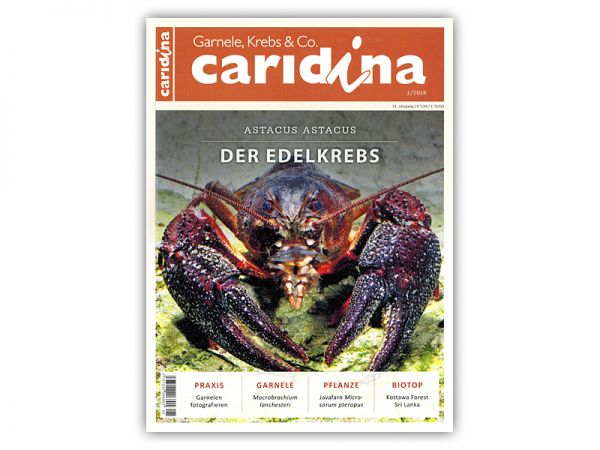 caridina, issue 1/2016, in German