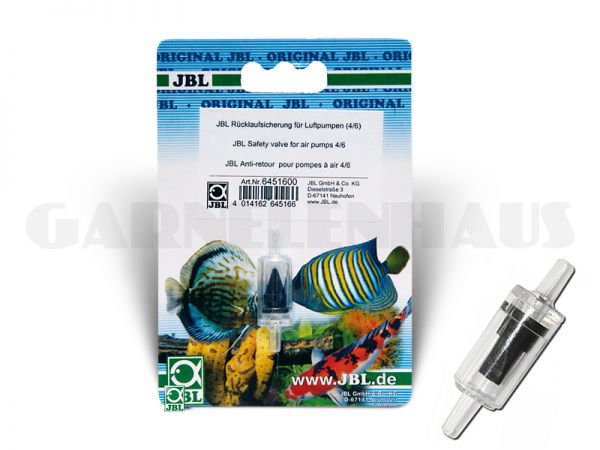 Check valve for air pumps