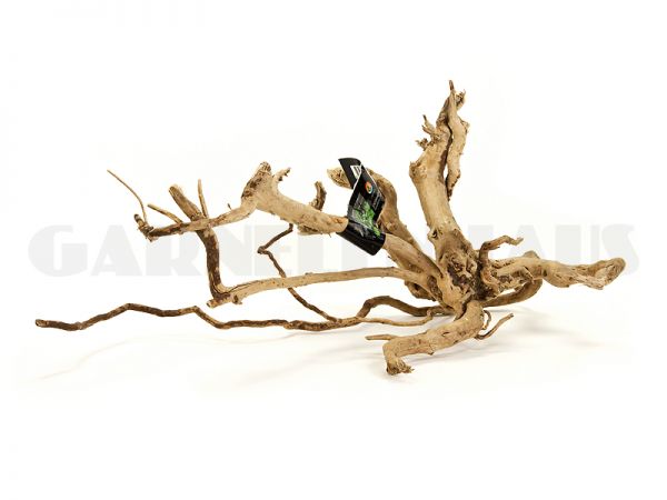 Spiderwood M, around 30-50 cm