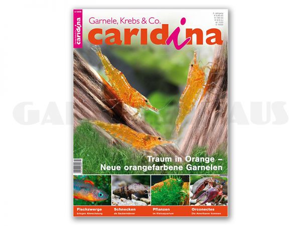 caridina, issue 2/2008 (in German)