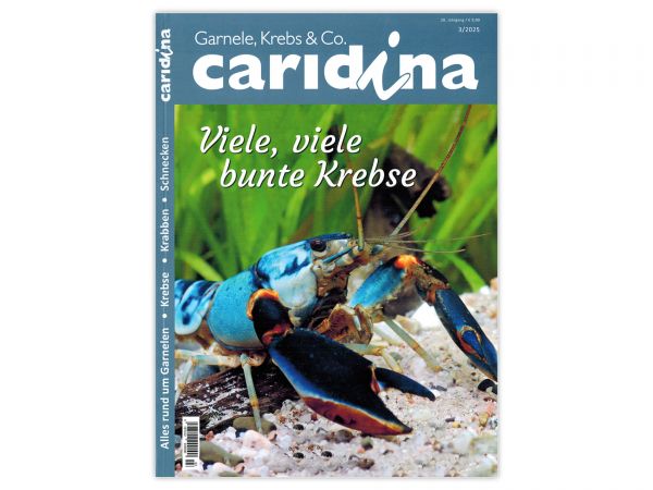 caridina - Garnelen, Krebse & Co :: Wirbellosen-Magazin, Dähne-Verlag, Issue 2/2025