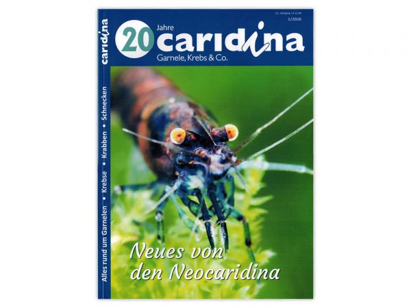 caridina - Garnelen, Krebse & Co :: Wirbellosen-Magazin, Dähne-Verlag, Issue 1/2026