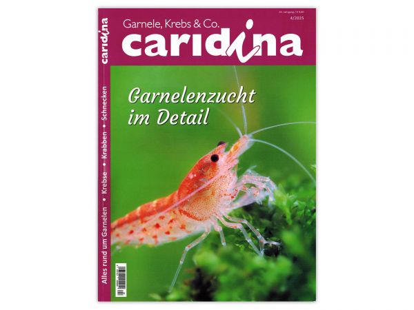caridina - Garnelen, Krebse & Co :: Wirbellosen-Magazin, Dähne-Verlag, Issue 4/2025