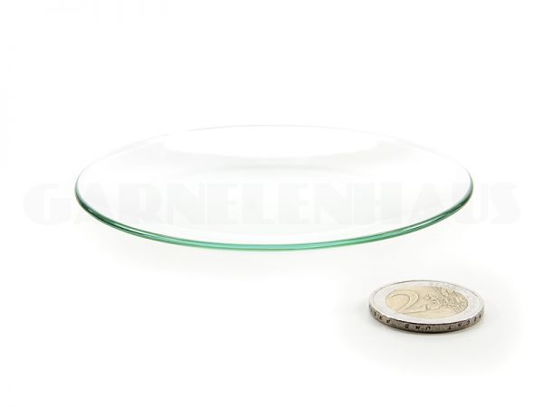 Shallow glass food bowl, 100/13 mm