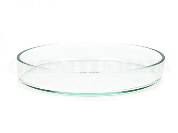 Glass food bowl, 94/15 mm