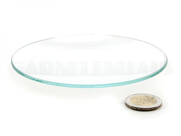 Shallow glass food bowl, 123/13 mm