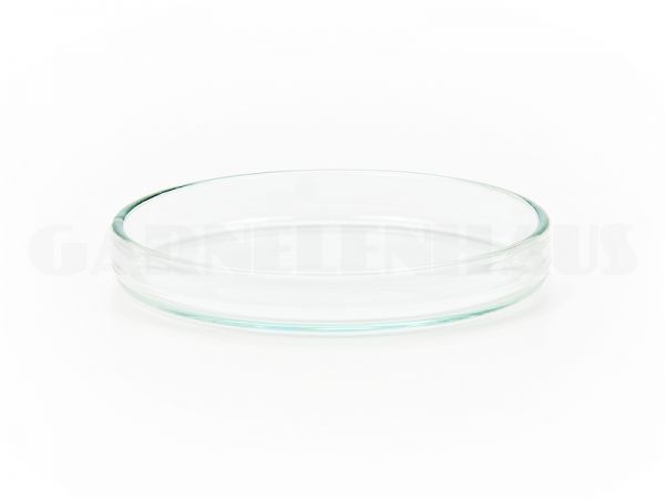Glass food bowl, 60/11 mm