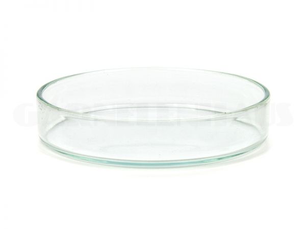 Glass food bowl, 74/15 mm