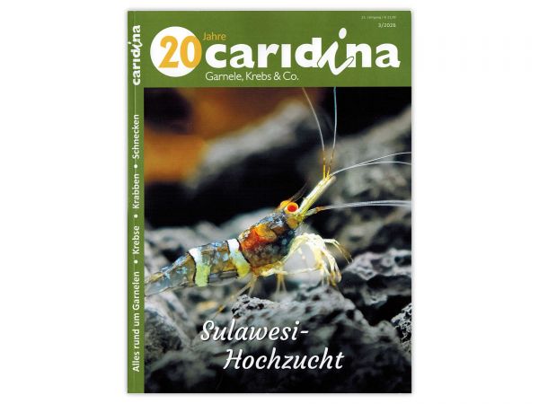 caridina - Garnelen, Krebse & Co :: Wirbellosen-Magazin, Dähne-Verlag, Issue 3/2026