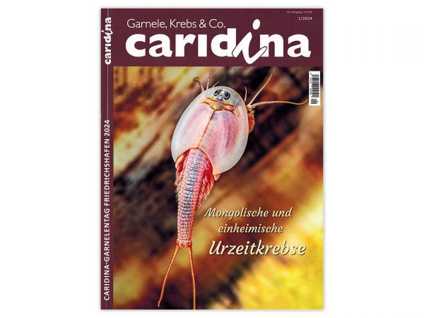 caridina - Garnelen, Krebse & Co :: Invertebrates Magazine, Dähne Publisher, Issue 1/2024